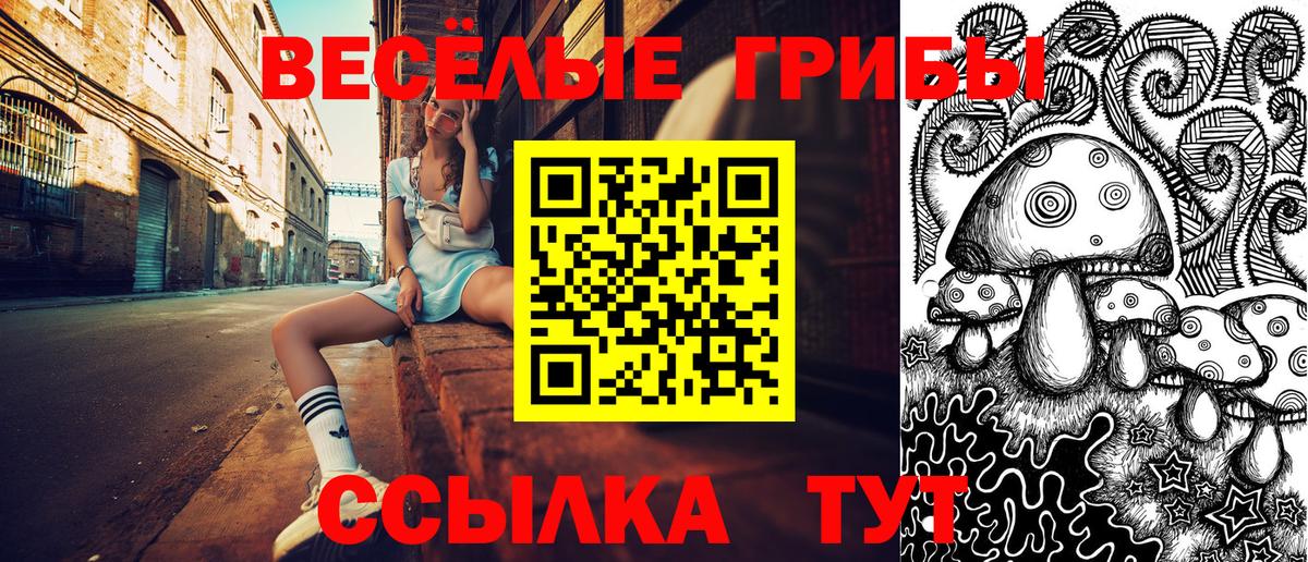 Галлюциногенные грибы прущие грибы Кисловодск