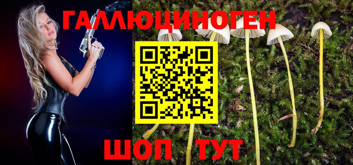 Кисловодск  Галлюциногенные грибы Psilocybe  наркота  Вход с VPN 